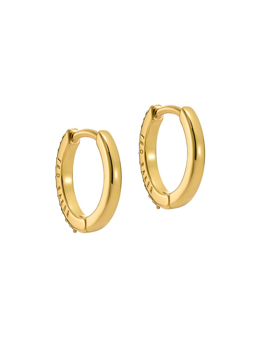 Boucles d'Oreilles Ted Baker HEPLIE - Crystal Huggie Hoop Femme Multicol | Paris  25194-PUZF