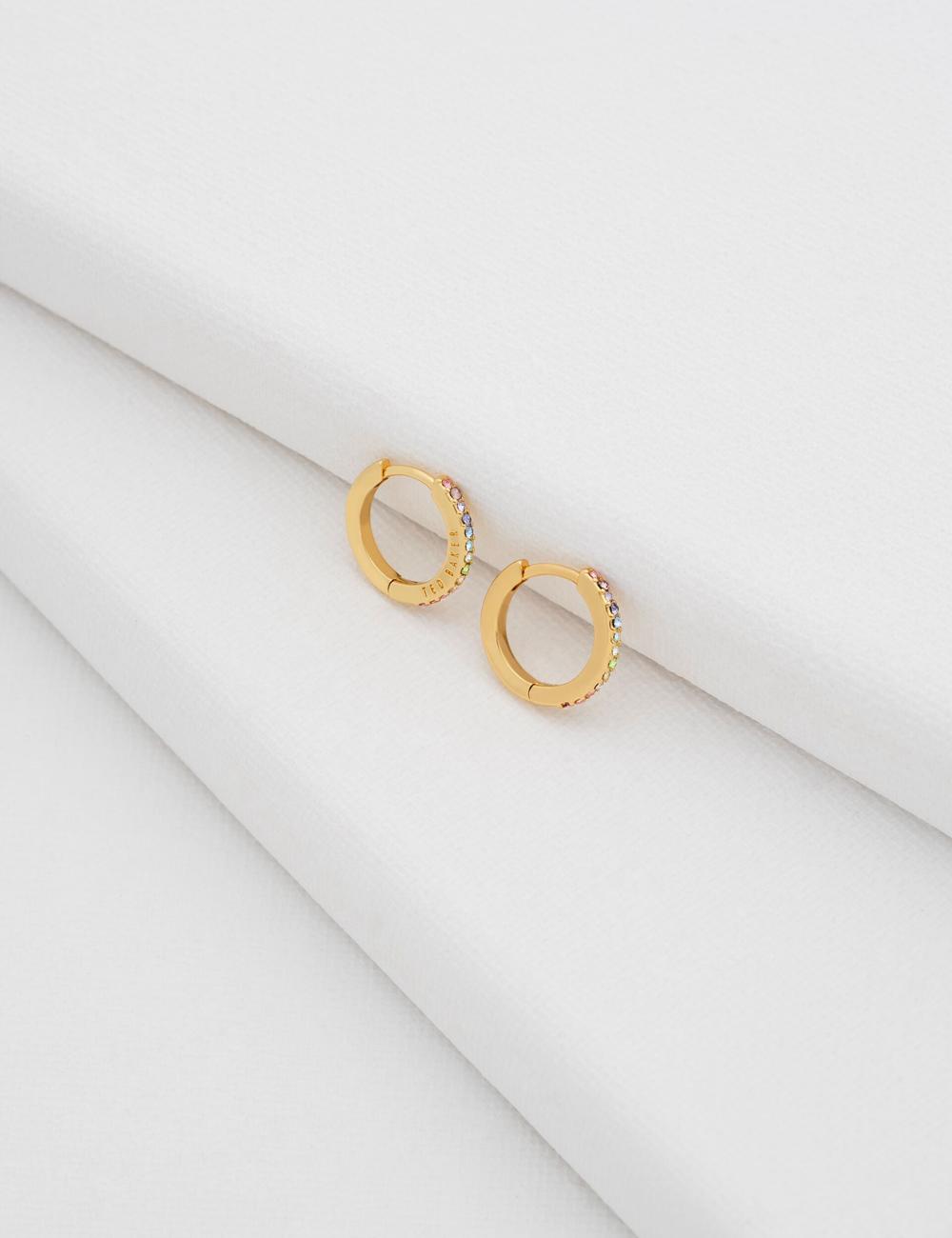 Boucles d'Oreilles Ted Baker HEPLIE - Crystal Huggie Hoop Femme Multicol | Paris  25194-PUZF