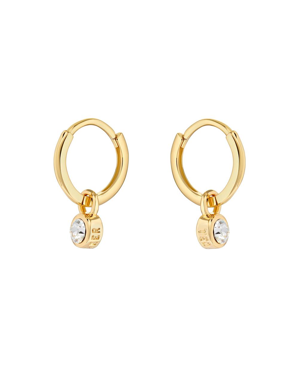 Boucles d'Oreilles Ted Baker SINALAA - Crystal Pendant Huggie Femme Doré | Paris  95017-WFGQ
