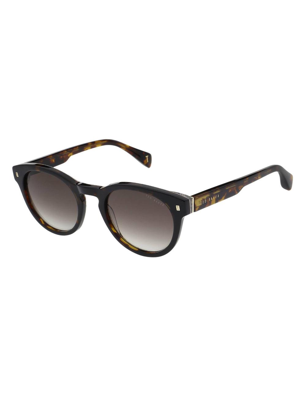Lunette de Soleil Ted Baker DAX - Round Chunky Temple Homme Marron | Paris  94536-XKYZ