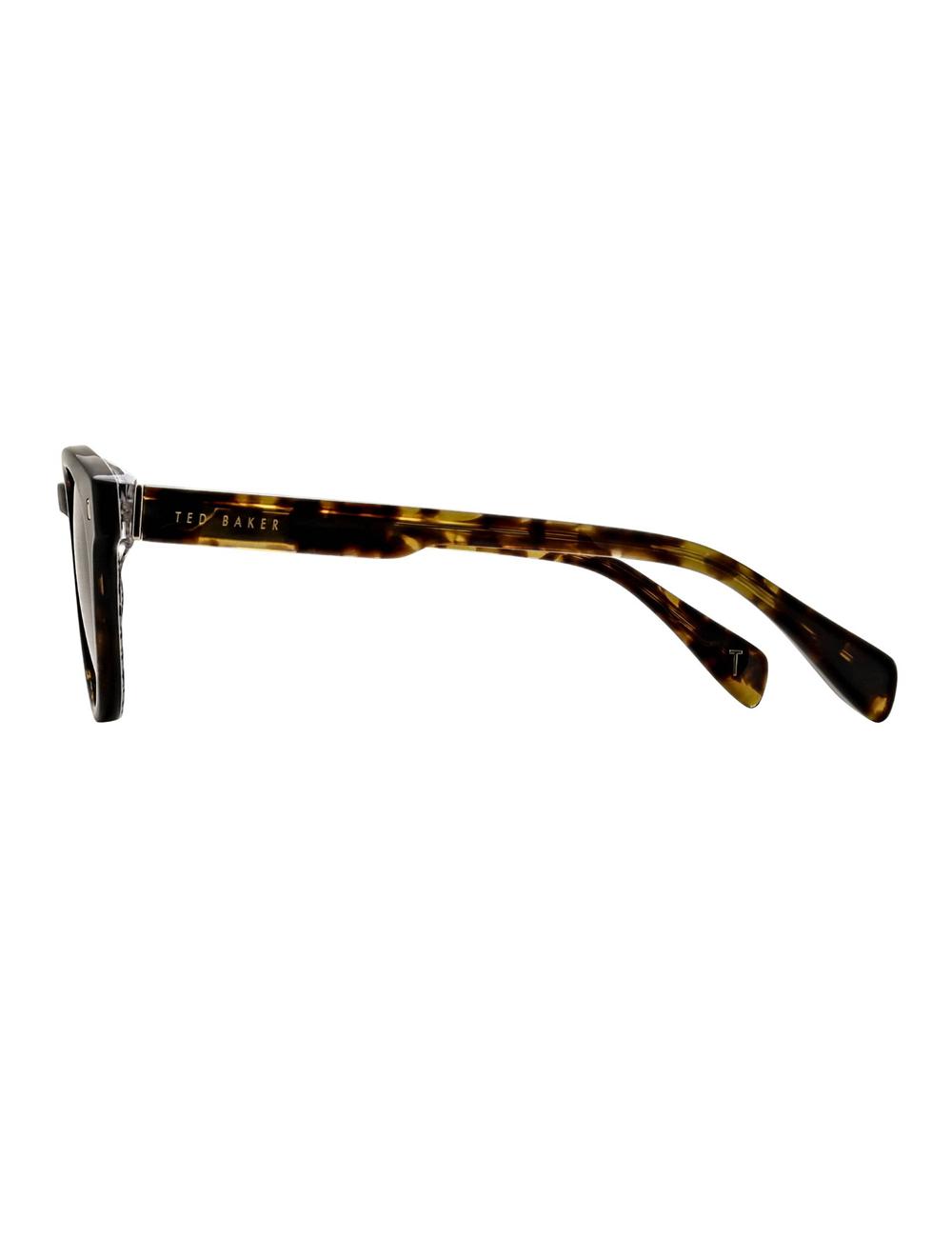 Lunette de Soleil Ted Baker DAX - Round Chunky Temple Homme Marron | Paris  94536-XKYZ
