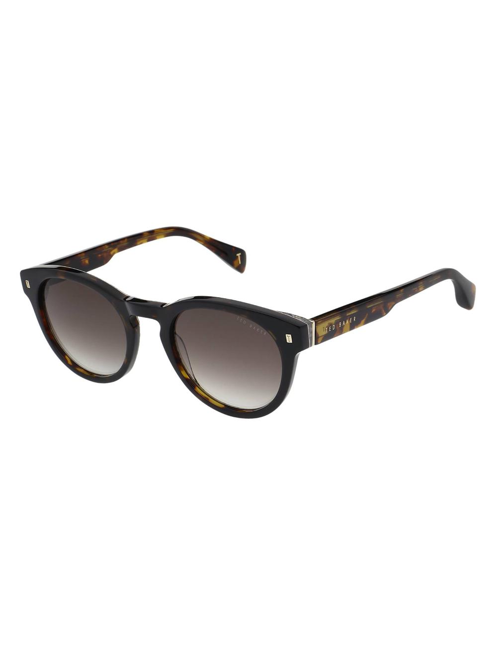 Lunette de Soleil Ted Baker DAX - Round Chunky Temple Homme Marron | Paris  94536-XKYZ