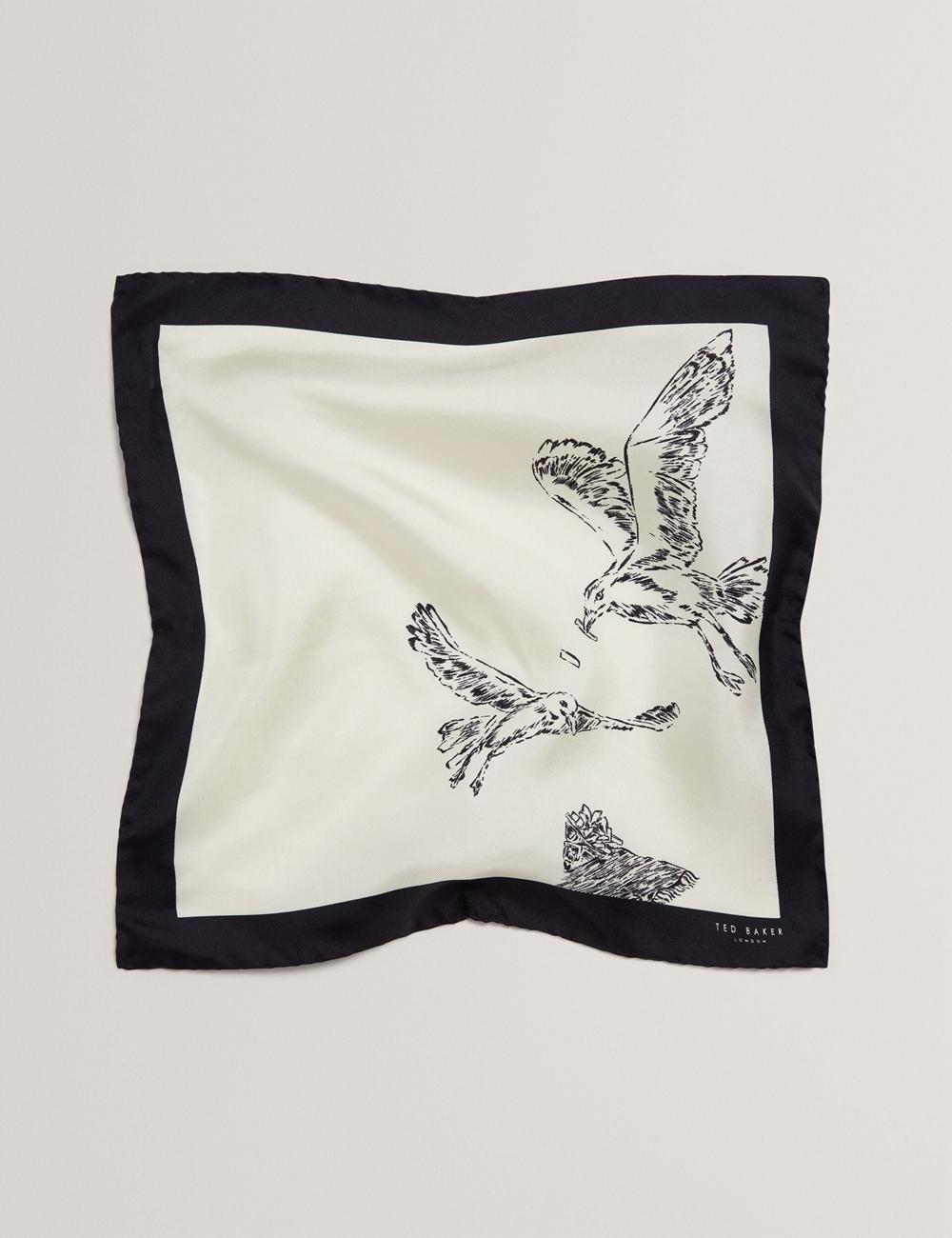 Pochettes De Costume Ted Baker BENHALP - Seagull Graphic Silk Pocket Homme Ecru | Paris  70395-JENB